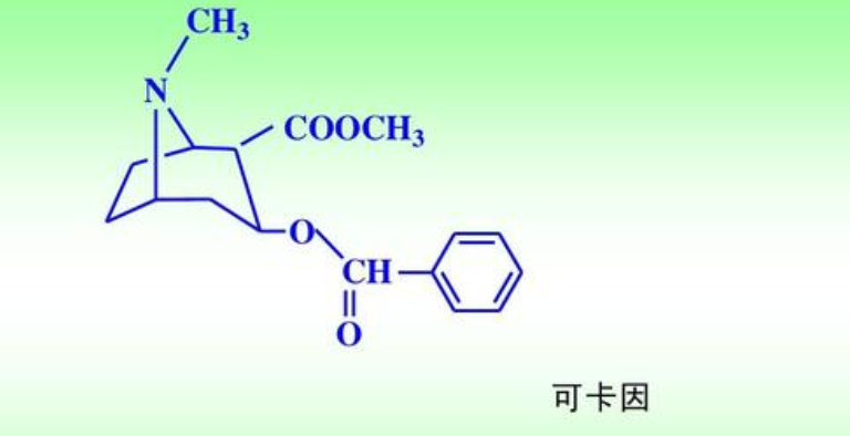 世界上最大的可卡因产地是哪里