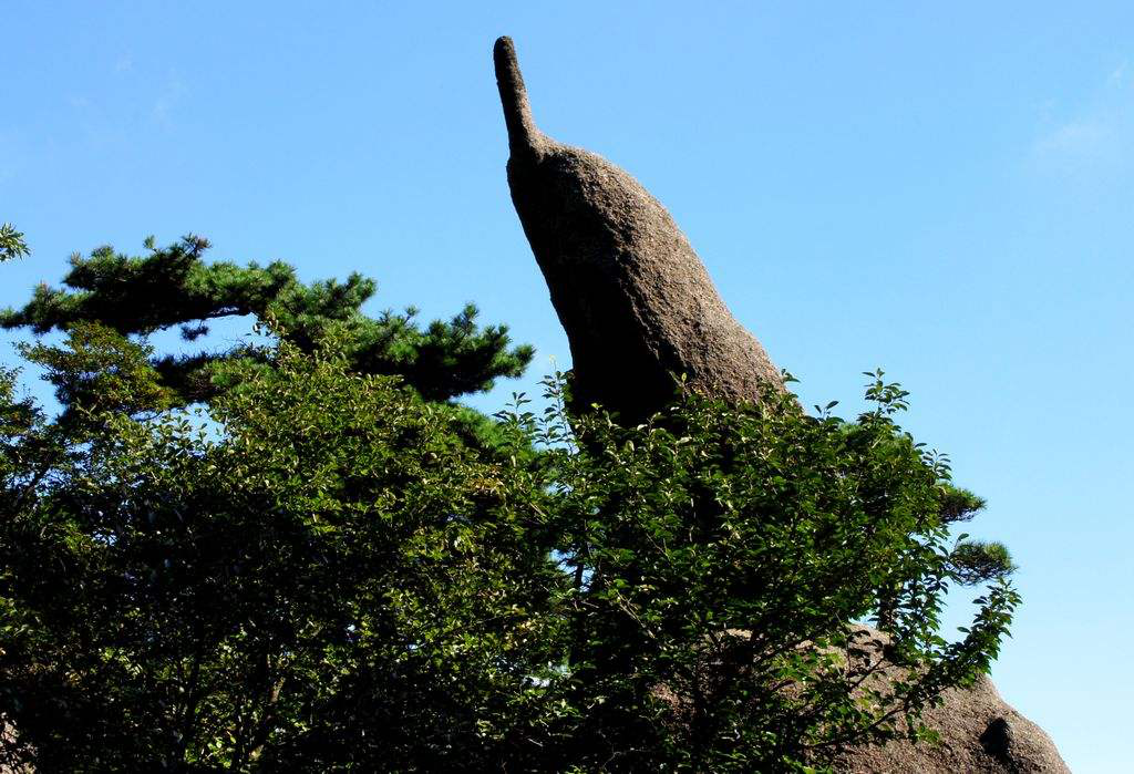 黄山奇石有哪些奇石