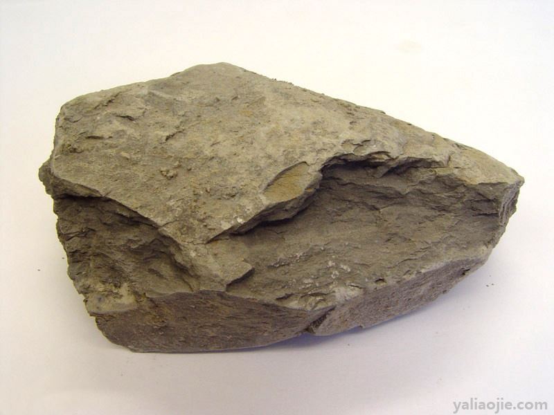 页岩是一种什么岩石页岩是一种沉积岩还是变质岩