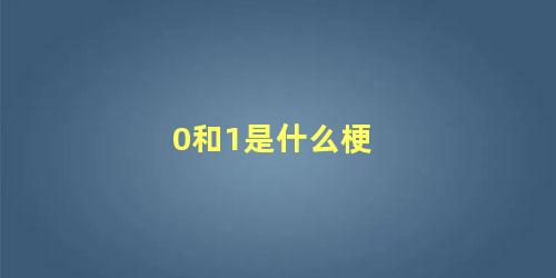 0和1是什么梗 1和0是怎样做的