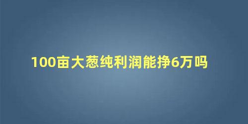 100亩大葱纯利润能挣6万吗 2022年大葱种植前景