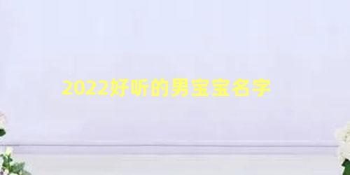 2022好听的男宝宝名字 2022最新名字男孩名字