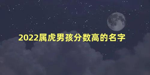 2022属虎男孩分数高的名字