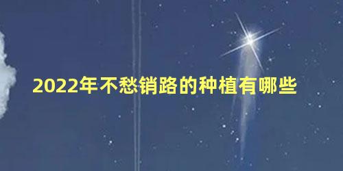 2022年不愁销路的种植有哪些 农村种植致富好项目