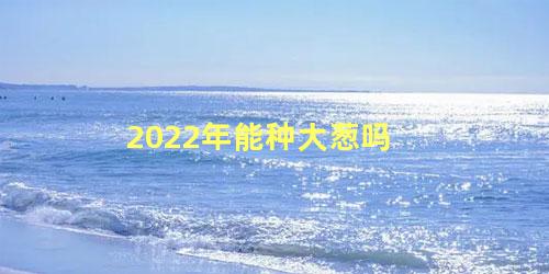 2022年能种大葱吗 大葱是怎么种植的