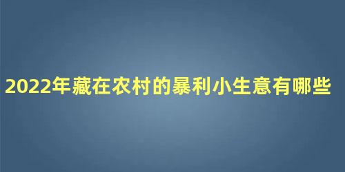 2022年藏在农村的暴利小生意有哪些