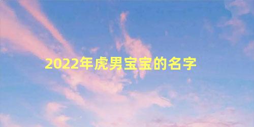 2022年虎男宝宝的名字