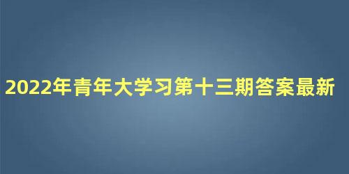 2022年青年大学习第十三期答案最新分享，青年大学习心得体会