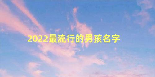 2022最流行的男孩名字 男孩简单大气的名字