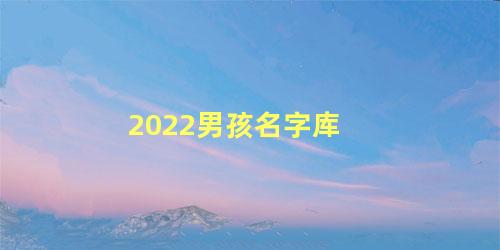 2022男孩名字库 2022男宝宝最佳取名