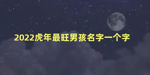 2022虎年最旺男孩名字一个字