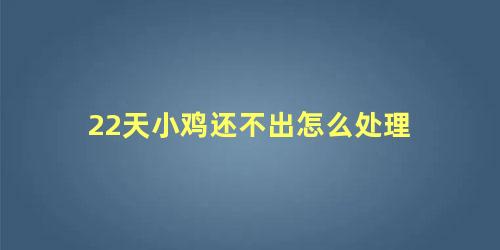 22天小鸡还不出怎么处理 孵化小鸡出壳禁忌