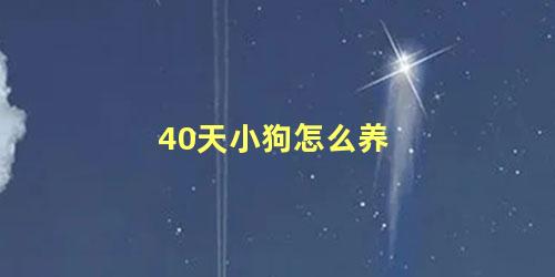 40天小狗怎么养，出生40天的小狗怎么喂养