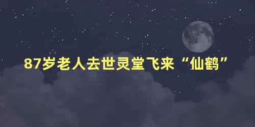 87岁老人去世灵堂飞来“仙鹤”，老人仙逝驾鹤