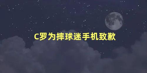 C罗为摔球迷手机致歉