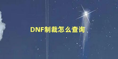 DNF制裁怎么查询