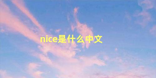 nice是什么中文 nice的对应词是什么意思