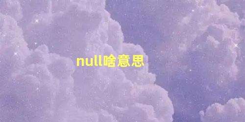 null啥意思 null中文代表什么