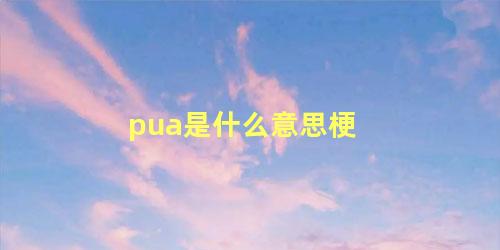 pua是什么意思梗，被领导pua是什么意思梗