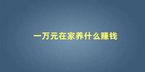 一万元在家养什么赚钱，养什么赚钱最快最有效