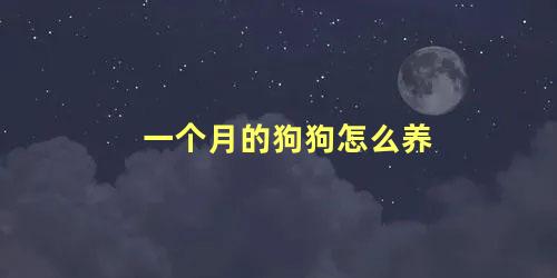 一个月的狗狗怎么养 不到一个月的小狗怎么喂养