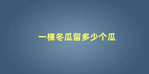 一棵冬瓜留多少个瓜 冬瓜一棵生几个为合适