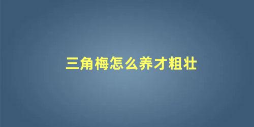 三角梅怎么养才粗壮 三角梅怎么养家庭养法