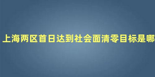 上海两区首日达到社会面清零目标是哪里