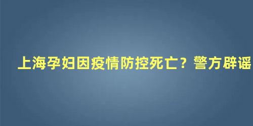 上海孕妇因疫情防控死亡？警方辟谣，疫情期间孕