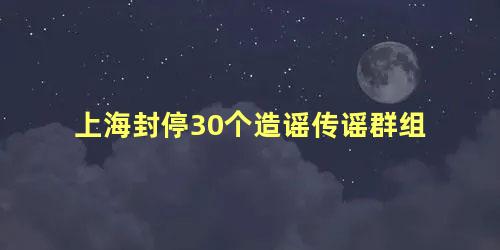 上海封停30个造谣传谣群组