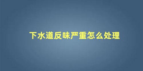 下水道反味严重怎么处理 地漏臭气往上冲的原因