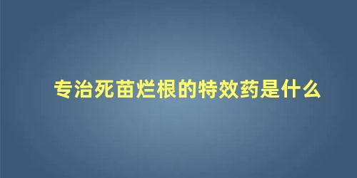 专治死苗烂根的特效药是什么 死苗烂根用什么药