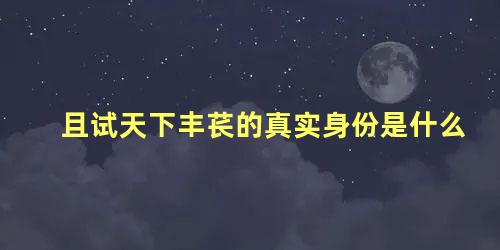 且试天下丰苌的真实身份是什么