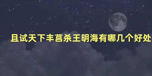 且试天下丰莒杀王明海有哪几个好处