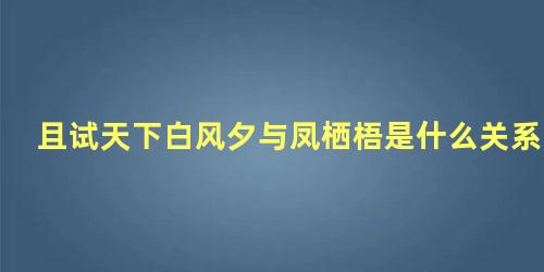 且试天下白风夕与凤栖梧是什么关系