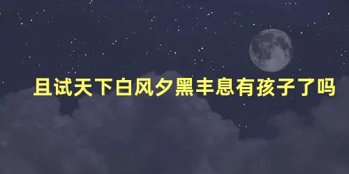 且试天下白风夕黑丰息有孩子了吗