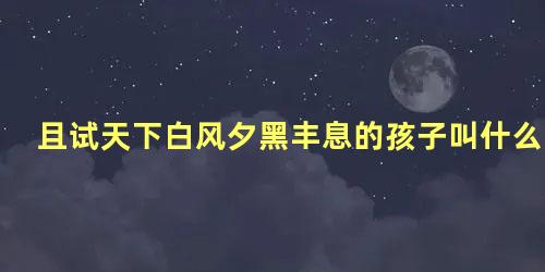 且试天下白风夕黑丰息的孩子叫什么