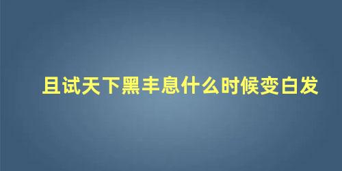 且试天下黑丰息什么时候变白发