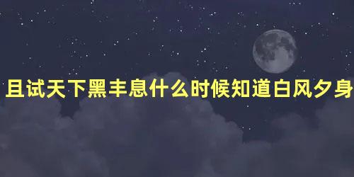 且试天下黑丰息什么时候知道白风夕身份