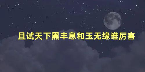 且试天下黑丰息和玉无缘谁厉害