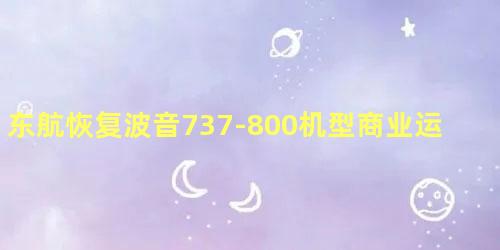 东航恢复波音737-800机型商业运营