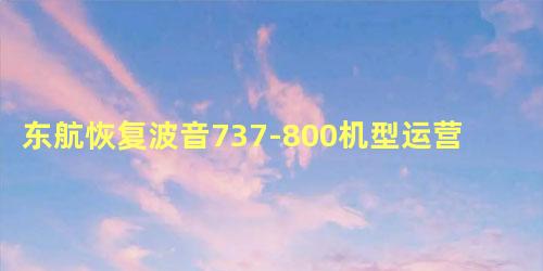 东航恢复波音737-800机型运营