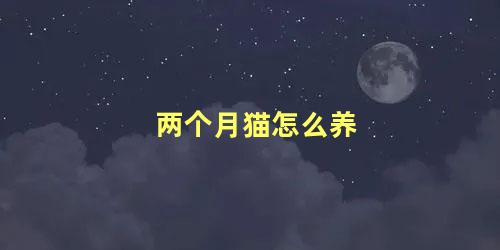 两个月猫怎么养 养两个月小猫咪注意事项