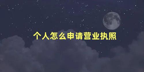 个人怎么申请营业执照