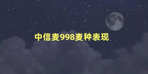 中信麦998麦种表现 众信麦998品种介绍