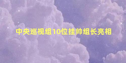 中央巡视组10位挂帅组长亮相