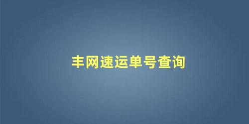 丰网速运单号查询 丰网速运单号查询不到怎