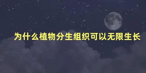 为什么植物分生组织可以无限生长