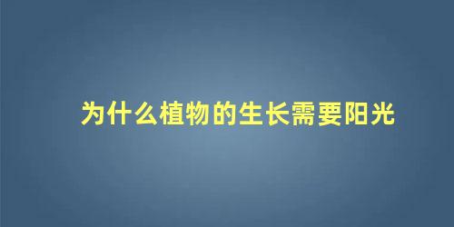 为什么植物的生长需要阳光 植物生长一定需要阳光吗