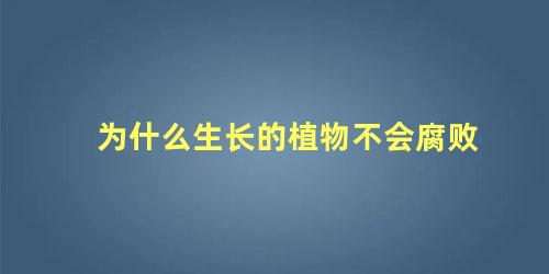 为什么生长的植物不会腐败